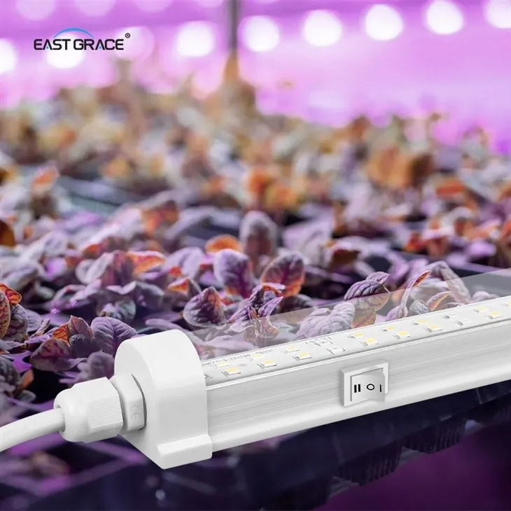 Customized Spectrum Available T8 Waterproof Clone Light