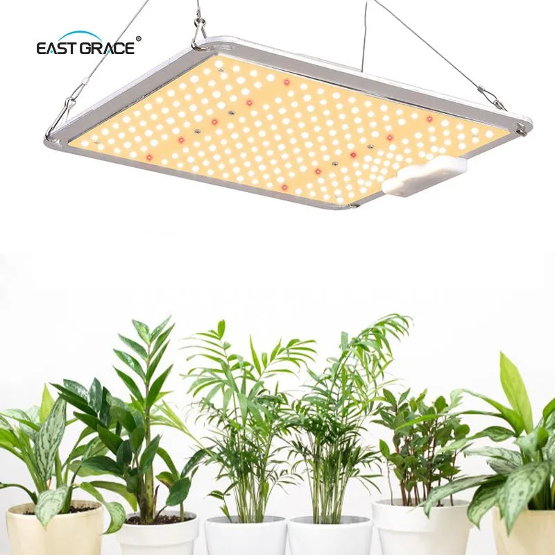 LED Grow Light Board