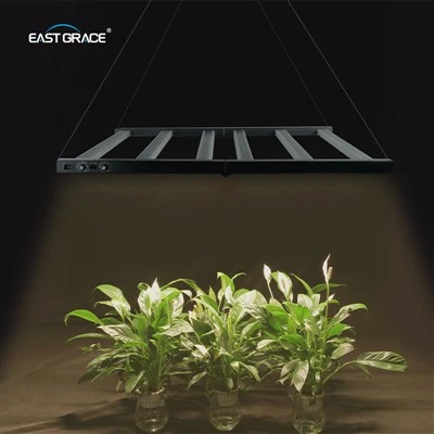 Qual a diferença entre lâmpadas tubulares LED T5 de luz branca quente e de luz branca fria?
