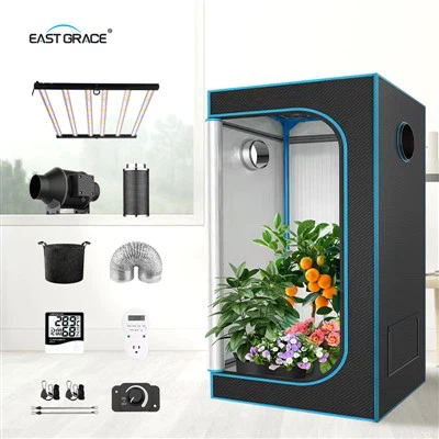 Como melhorar a qualidade das plantas cultivadas em uma tenda de cultivo de 320W?