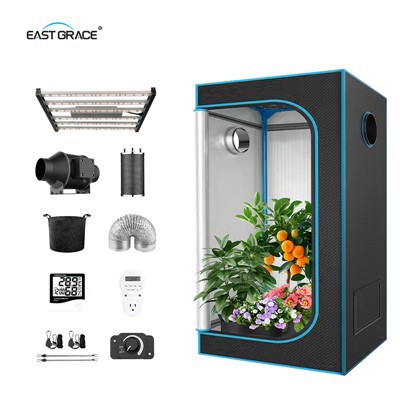 Posso cultivar árvores frutíferas em uma tenda de cultivo de 320W?
