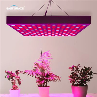 Painel de luz de cultivo quadrado de superfície ultra fino 30W 30W